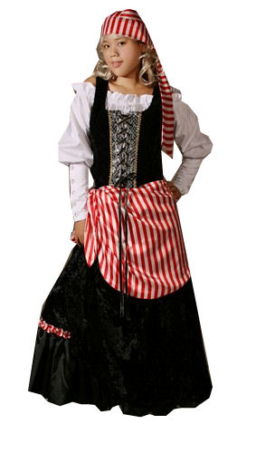 Ladies Deluxe Pirate Costume Size 10 - 12 Image